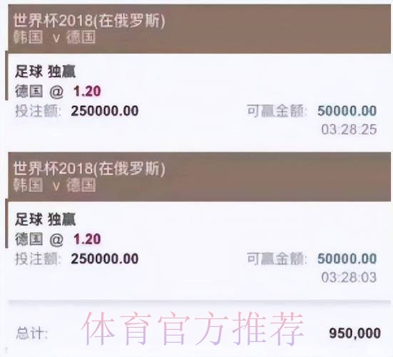 世界杯投注平台精选与评测
